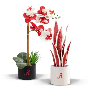 Alabama Crimson Tide Faux Snake Plant & Orchid