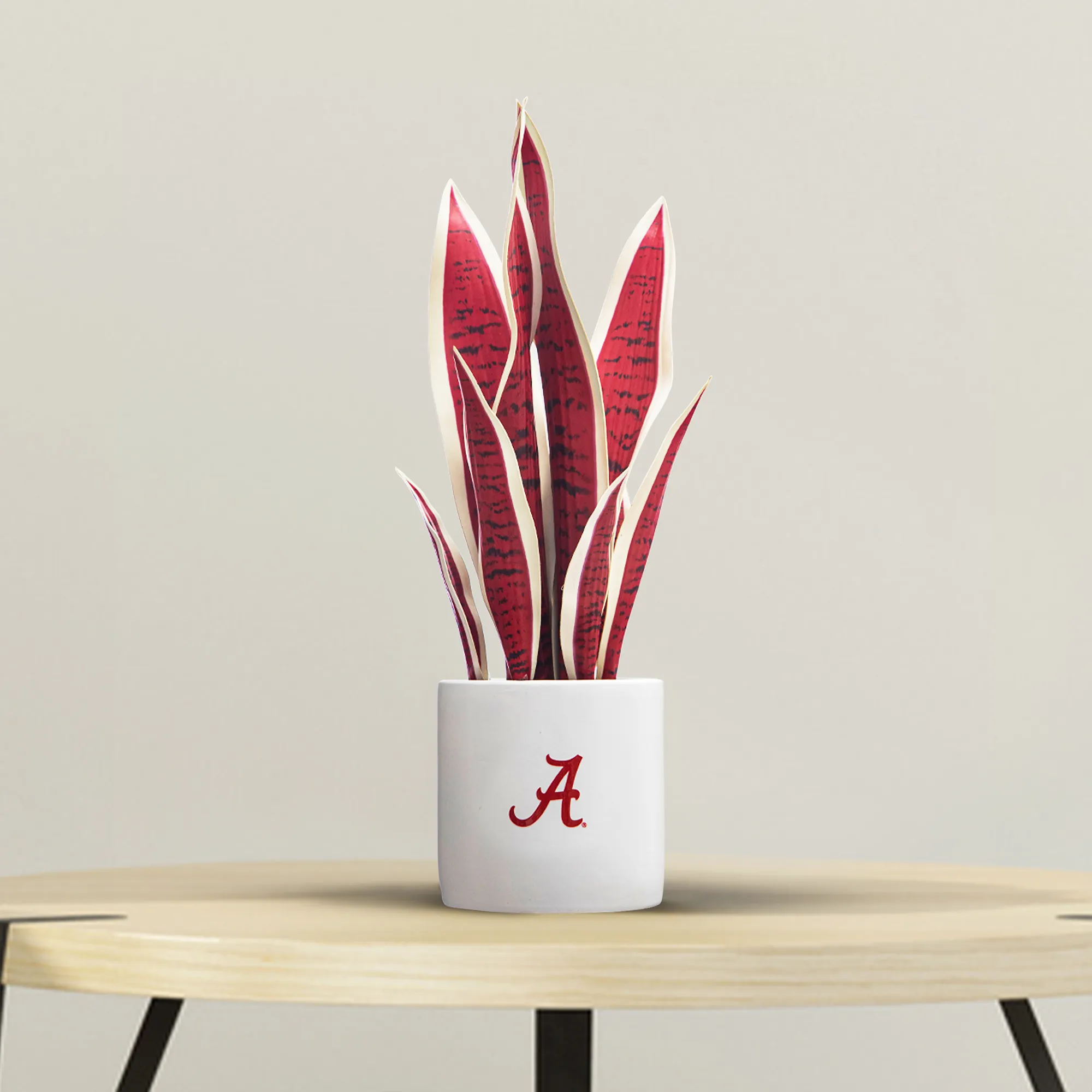 Alabama Crimson Tide Faux Snake Plant & Orchid