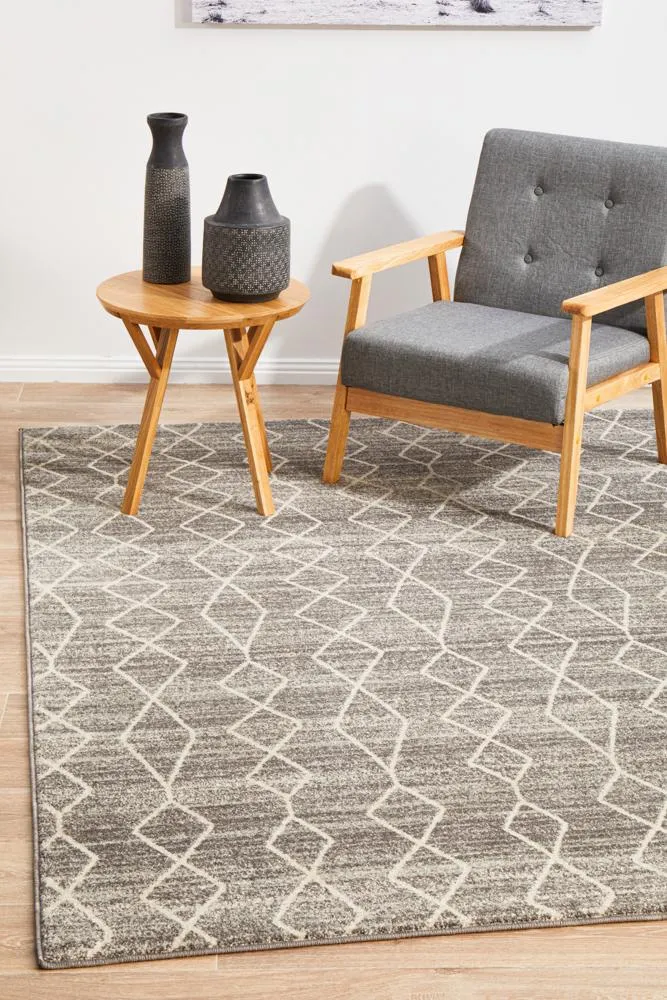 Evoke Remy Silver Transitional Rug