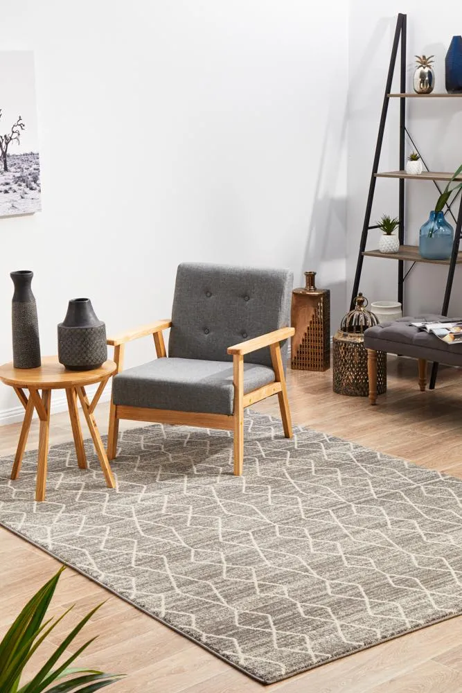 Evoke Remy Silver Transitional Rug