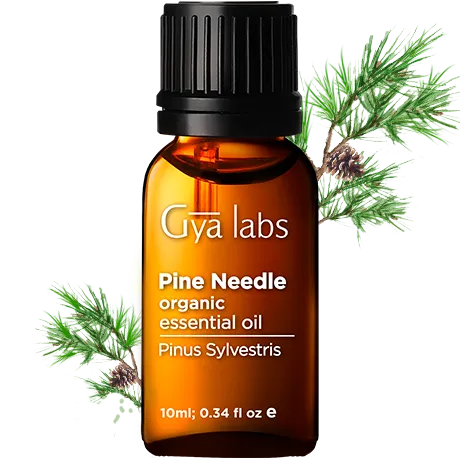 Organic Pine Needle Oil