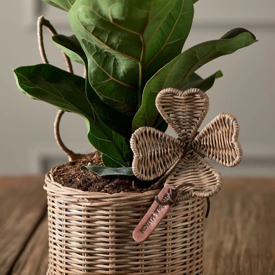 RM Lucky Rattan Clover